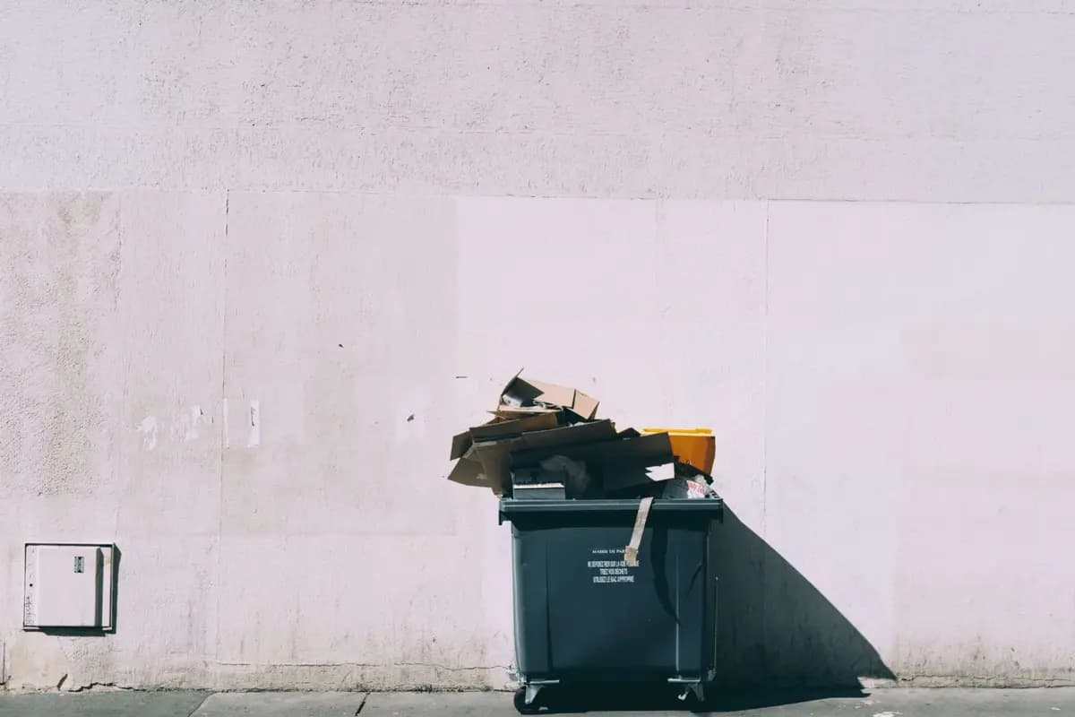 How to Create an Eco-Friendly Office That Boosts Productivity